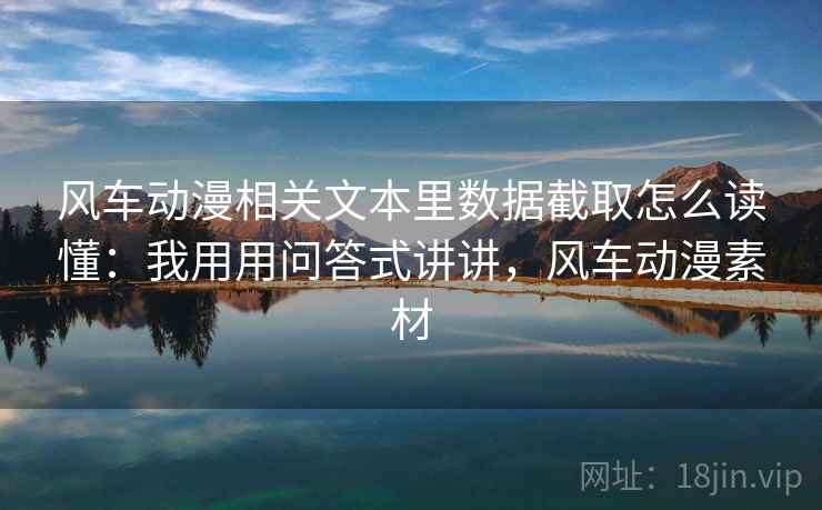 风车动漫相关文本里数据截取怎么读懂：我用用问答式讲讲，风车动漫素材